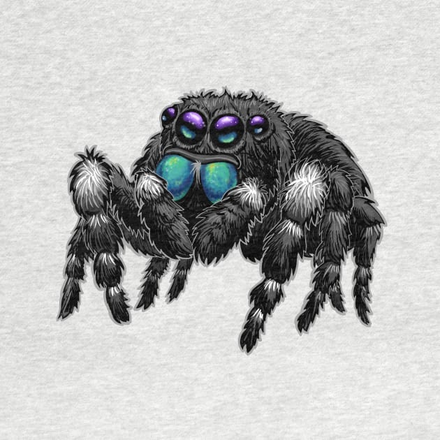 Daring Jumping Spider Phidippus Audax by RJKpoyp